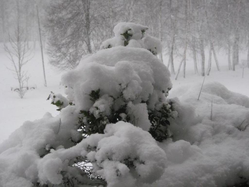 Fotoattēlam ilustratīva nozīme.
Autors: www.photo.poga.lv