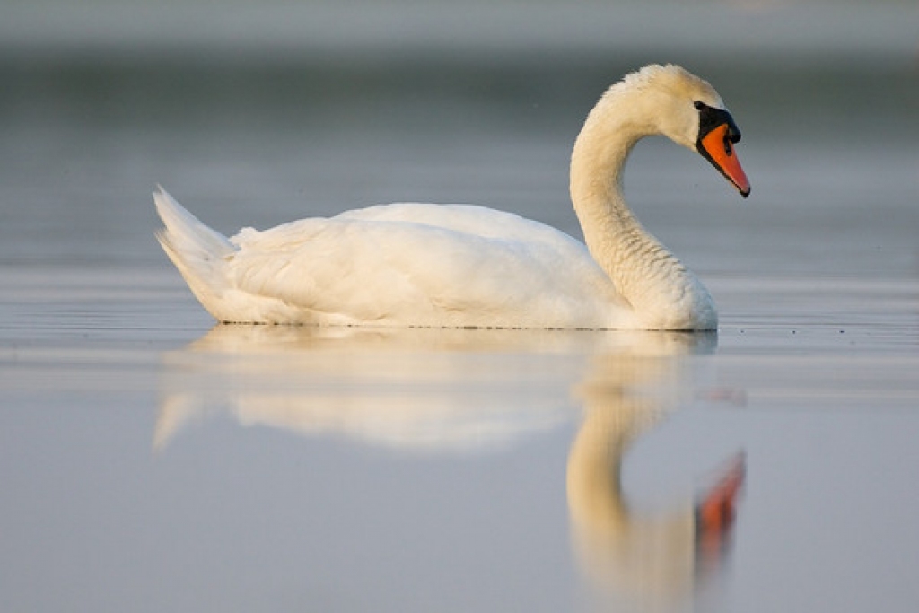 Autors: akrusts.smugmug.com