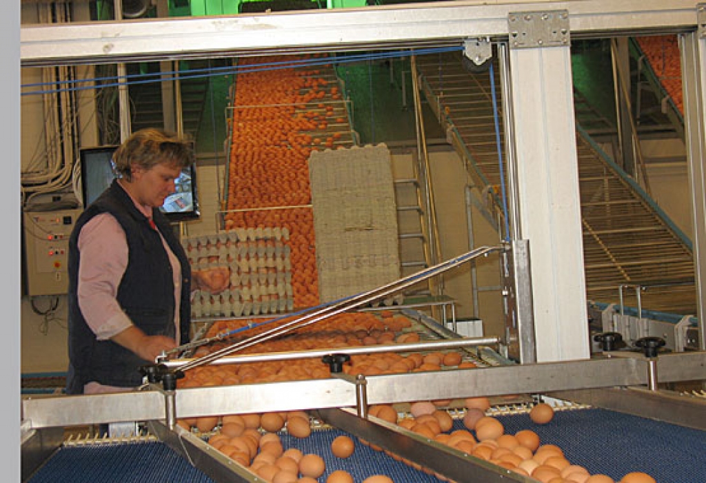 Autors: No «Bauskas Dzīves» arhīva.