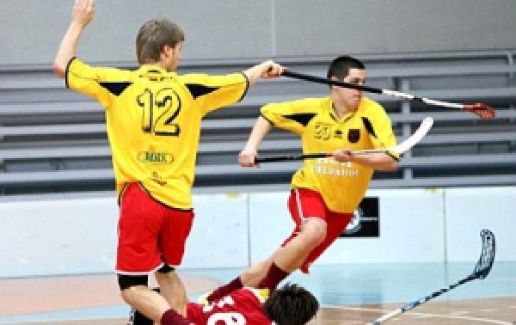 Autors: www.florbolazinas.lv