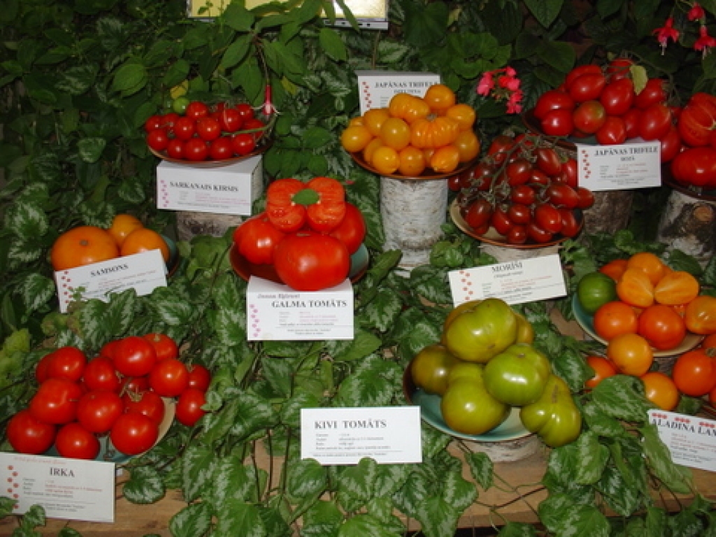 Autors: www.kekava.lv