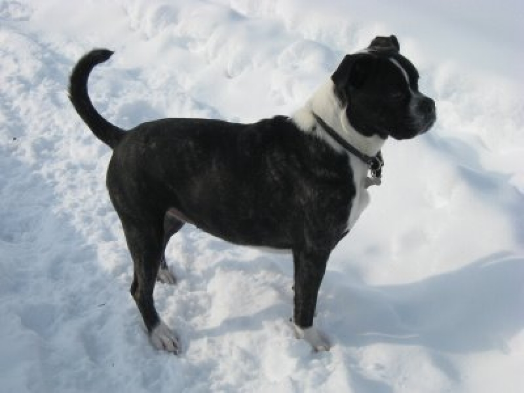 Fotoattēlam ilustratīva nozīme.