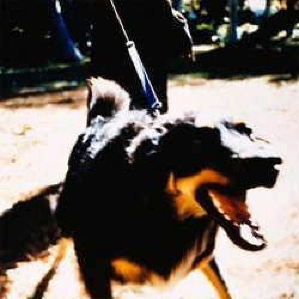 Fotoattēlam ilustratīva nozīme.