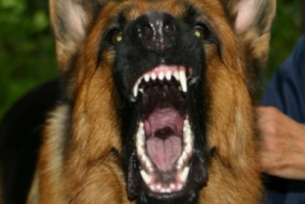 Fotoattēlam ilustratīva nozīme.