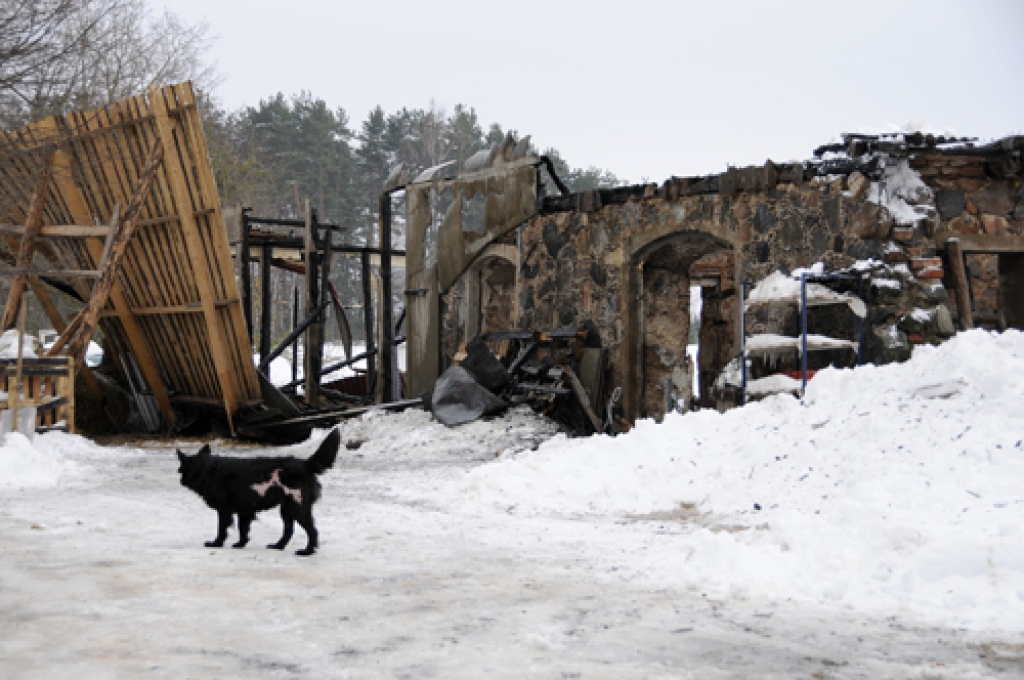 Vecsaules pagastā pie liesmu nopostītās kūts 4. februāra priekšpusdienā bija sastopami vien trīs suņi. Saimnieki vairāku minūšu garumā tā arī neparādījās. 
Autors: Ivars Bogdanovs
