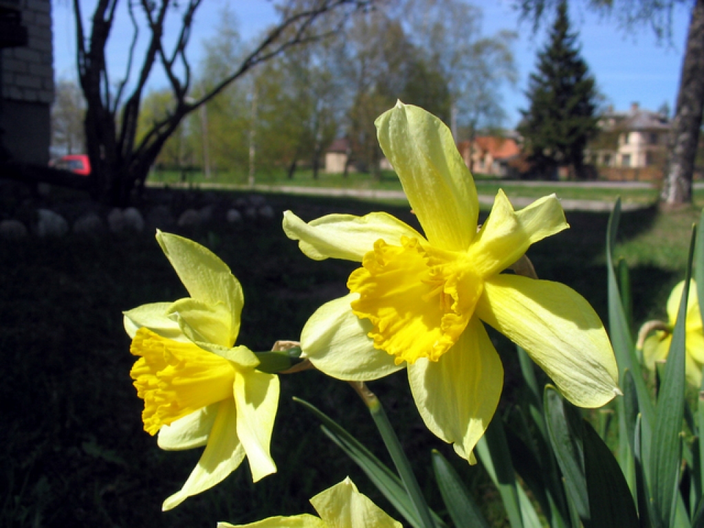 Fotoattēlam ilustratīva nozīme.