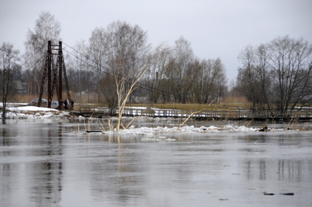 Autors: No «Bauskas Dzīves» arhīva.