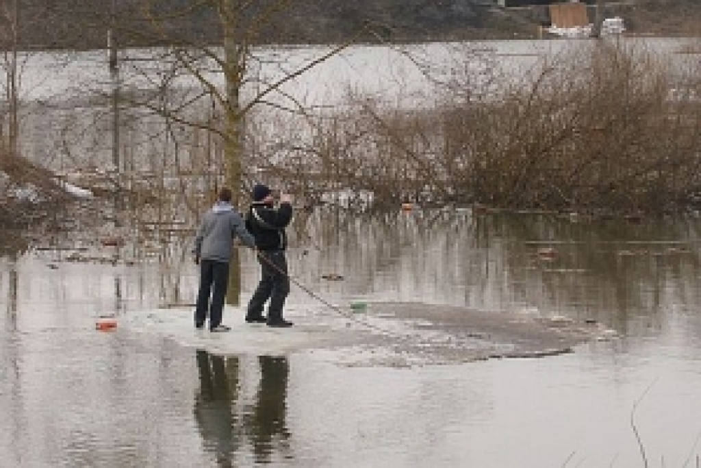Jelgavā kāds aculiecinieks fiksējis bērnu vizināšanos uz ledus gabala.
Autors: www.zz.lv
