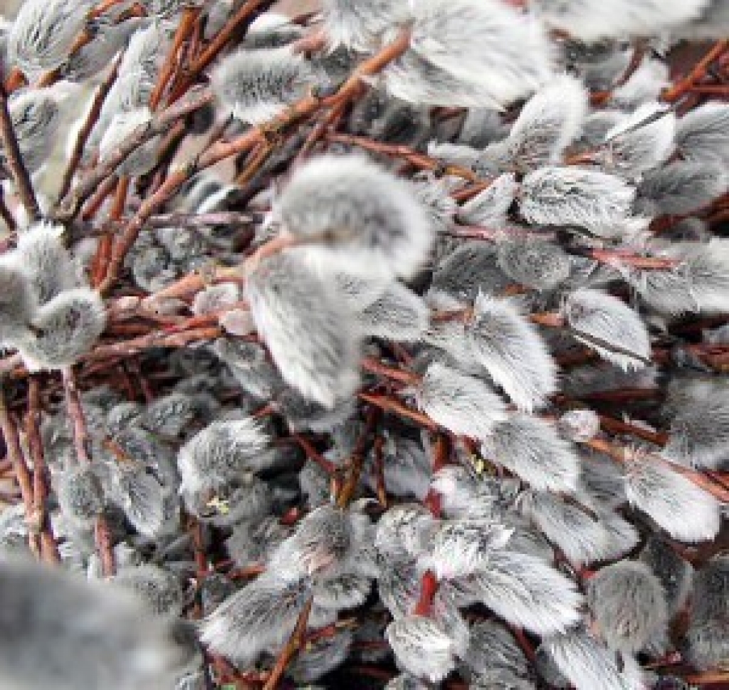 Fotoattēlam ilustratīva nozīme.