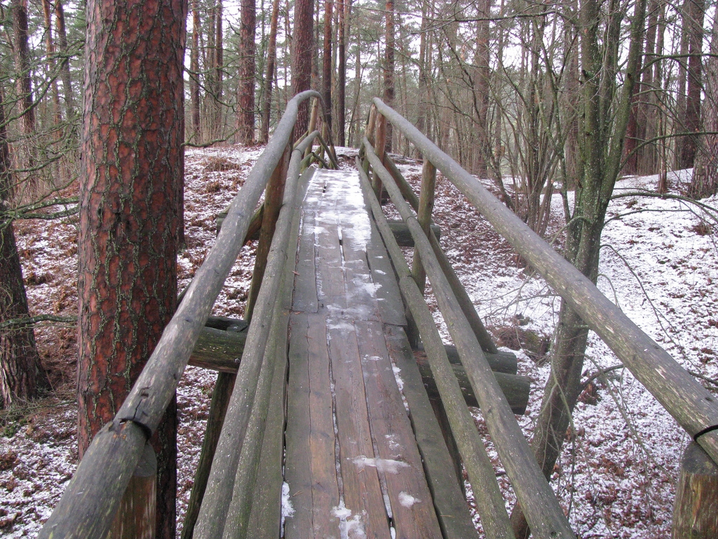 Fotoattēlam ilustratīva nozīme.
Autors: www.flickr.com