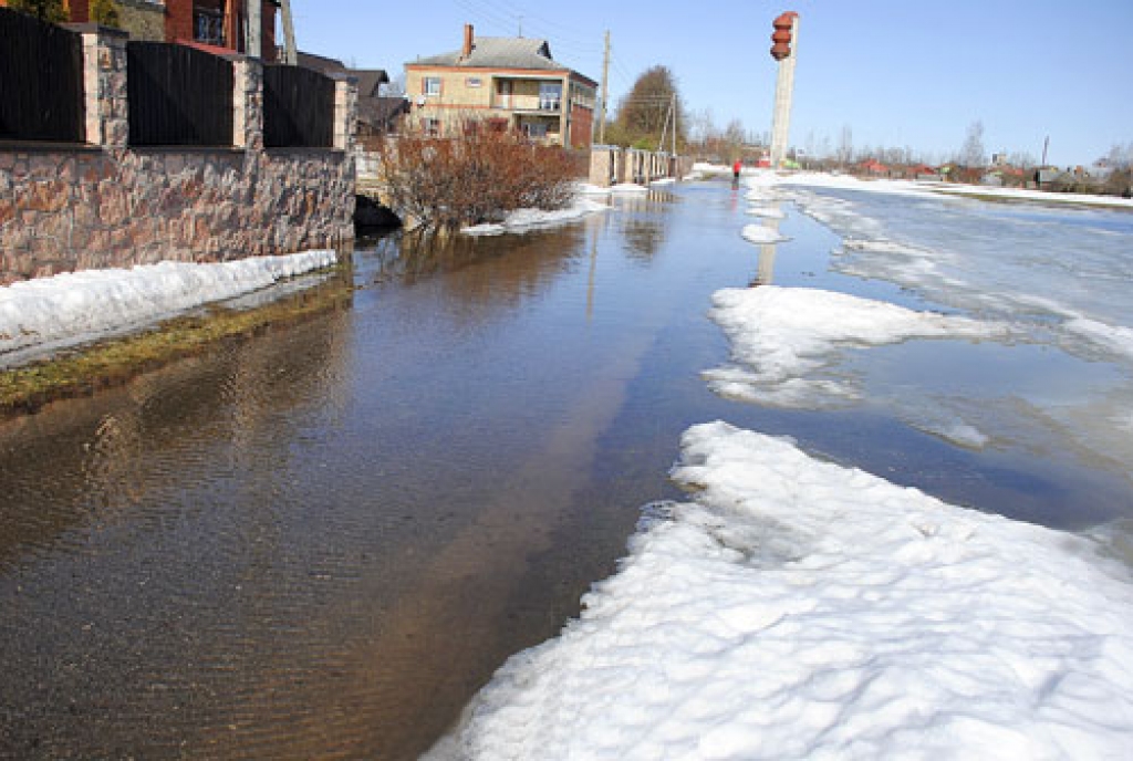 Bērzkalnu ciema Ozolu ielas māju pagalmos un pagrabos arī otrdien, 23. martā, tecēja ūdens. 
Autors: Juris Iļņickis
