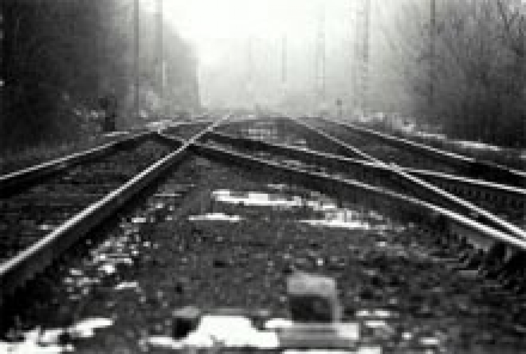 Autors: www.tvnet.lv