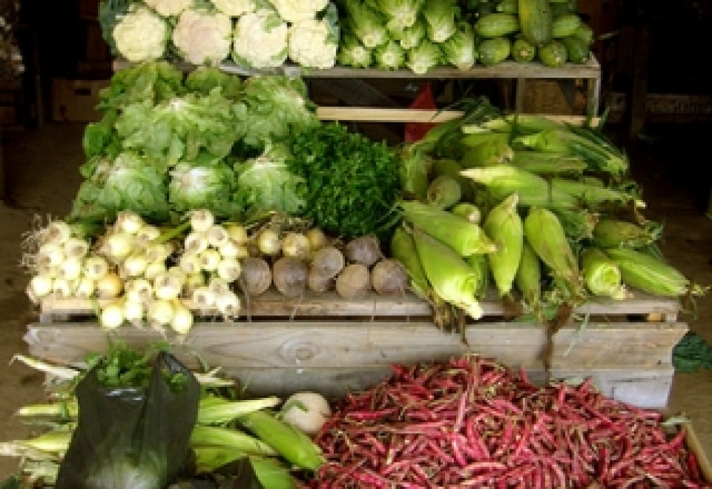 Autors: www.pozitivaszinas.lv