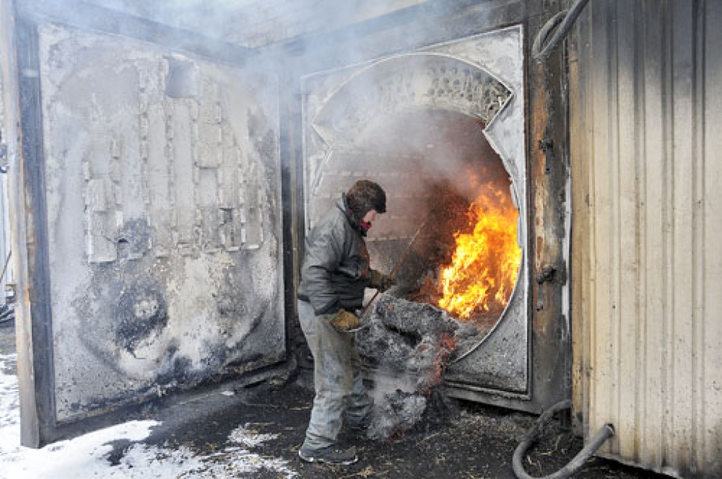 Mārtiņš Leitlands, Saulaines profesionālās vidusskolas metinātājs, rāda ar salmiem kurināmo katlu darbību. Tajos siltuma ražošanai var izmantot arī malku, šķeldu un ogles.
Autors: Ivars Bogdanovs