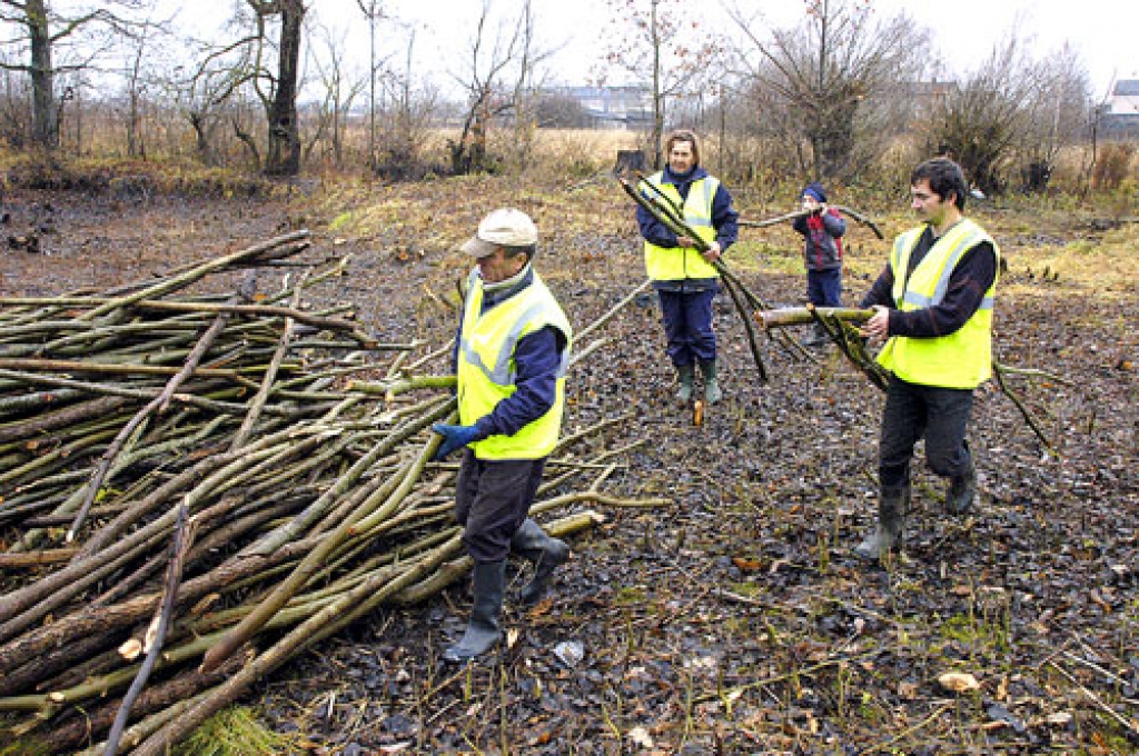 Bauskas, Iecavas, Vecumnieku un Rundāles novadā bezdarbnieku prakses programmā iesaistīti vairāk nekā 250 iedzīvotāju.
Autors: no «Bauskas Dzīves» arhīva