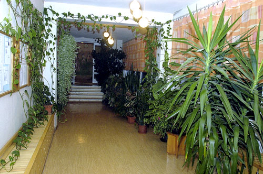 «Cālīša» stiklotajos koridoros zaļie augi ne tikai rada tīkamu vidi, bet arī aizsedz ziemā caursalstošās, vietām nomelnējušās sienas.
Autors: no «Bauskas Dzīves» arhīva