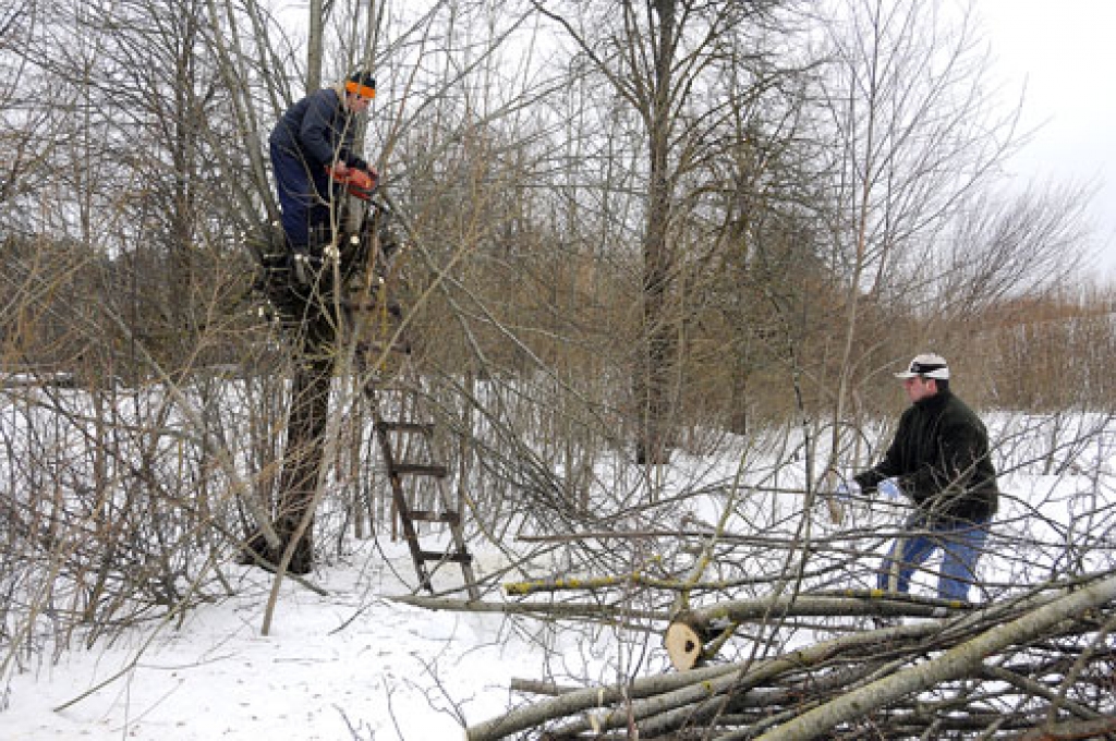 Ceļmalas virzienā no Kurmenes uz Skaistkalni izskatīsies glītāk nekā līdz šim.  Sakopšanā strādā arī Kristaps Daugavietis un Andris Protaps. 
Autors: Ivars Bogdanovs