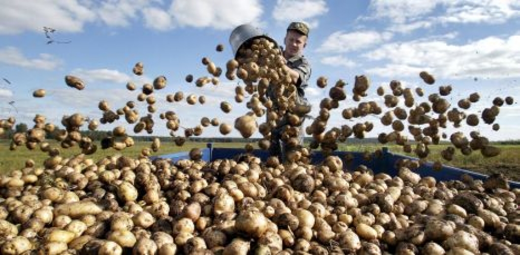 Fotoattēlam ilustratīva nozīme.
Autors: AFP/SCANPIX