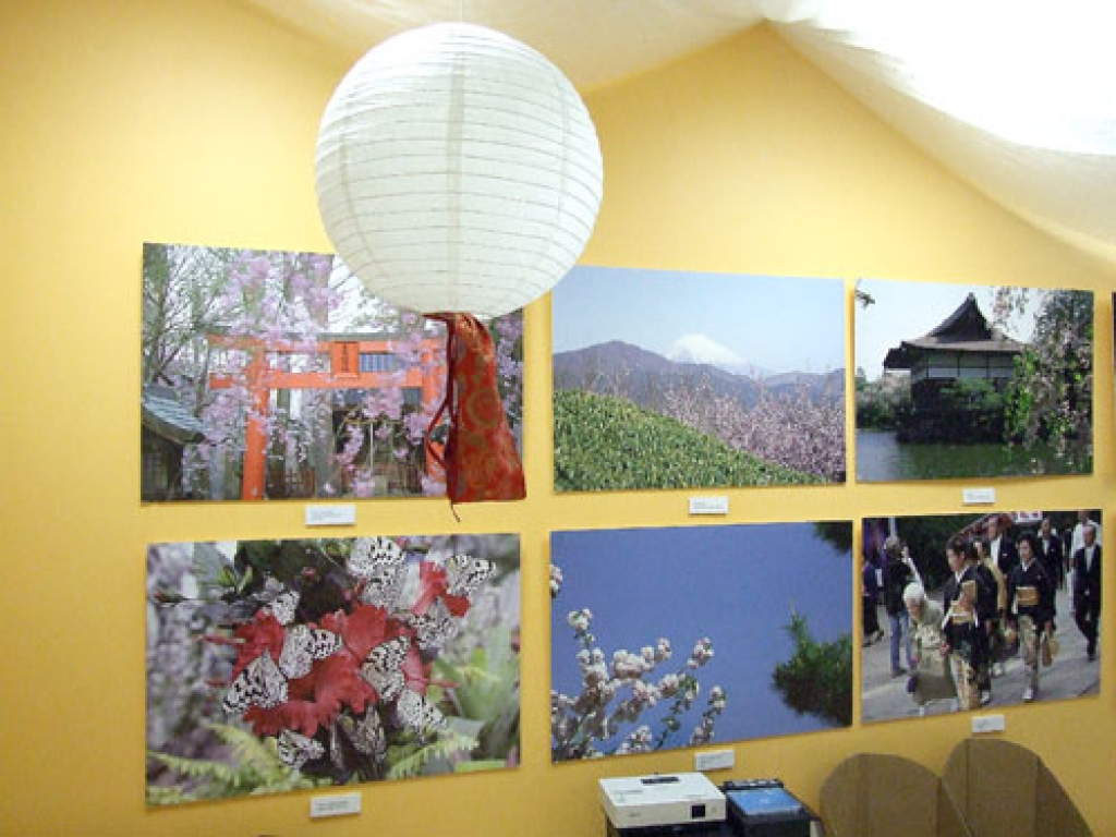 Rundāles novada jaunajā zālē 26. februārī atklāja Armanda Pundura fotoizstādi «Japānas ķiršu dārzi ziedēšanas laikā». Teātra studijas «Savējie» jaunieši lasīja  Margaritas Putniņas haikas «Sniega orhideja» no poētiskās grāmatas «Sniegs»....