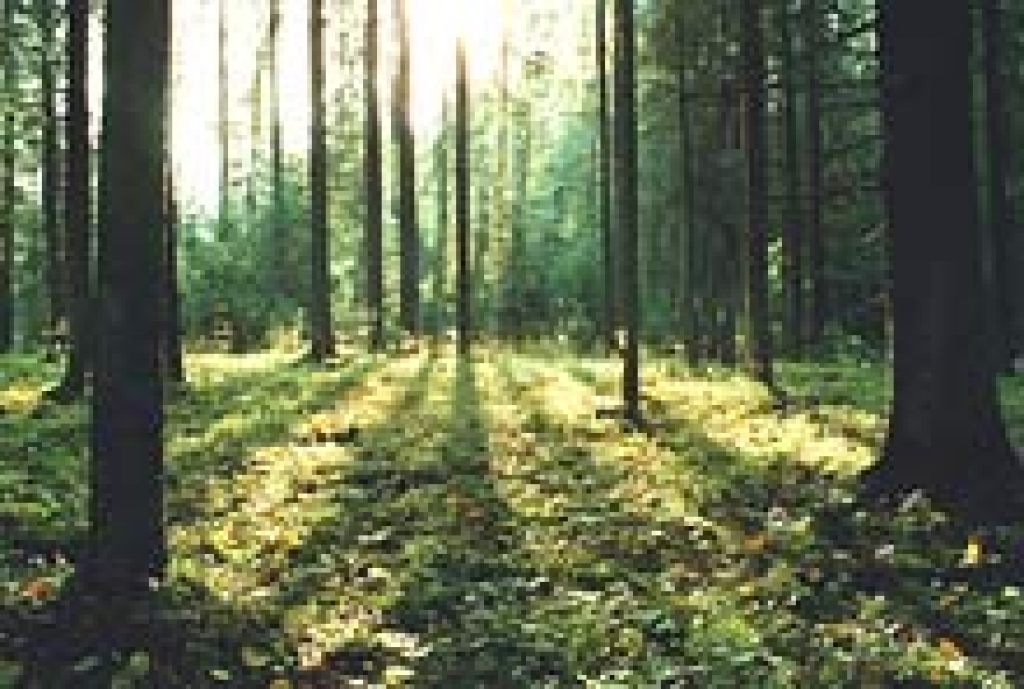 Fotoattēlam ilustratīva nozīme.