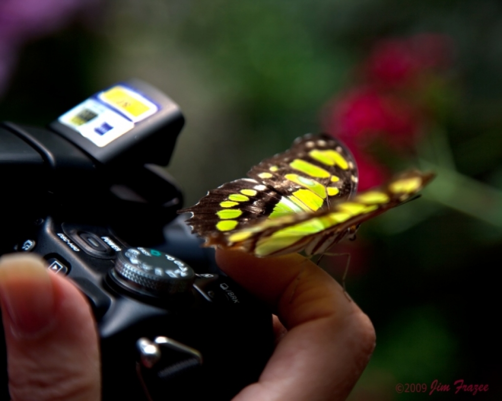 Fotoattēlam ilustratīva nozīme.
Autors: www.flickr.com