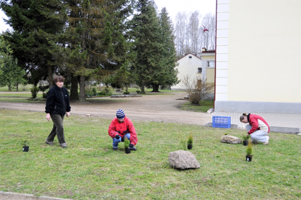 Skujeņu stādīšanas vietas izvēlas Dace Polika (no kreisās), Līga Langenfelde un Dzintra Polika.
Autors: Ivars Bogdanovs