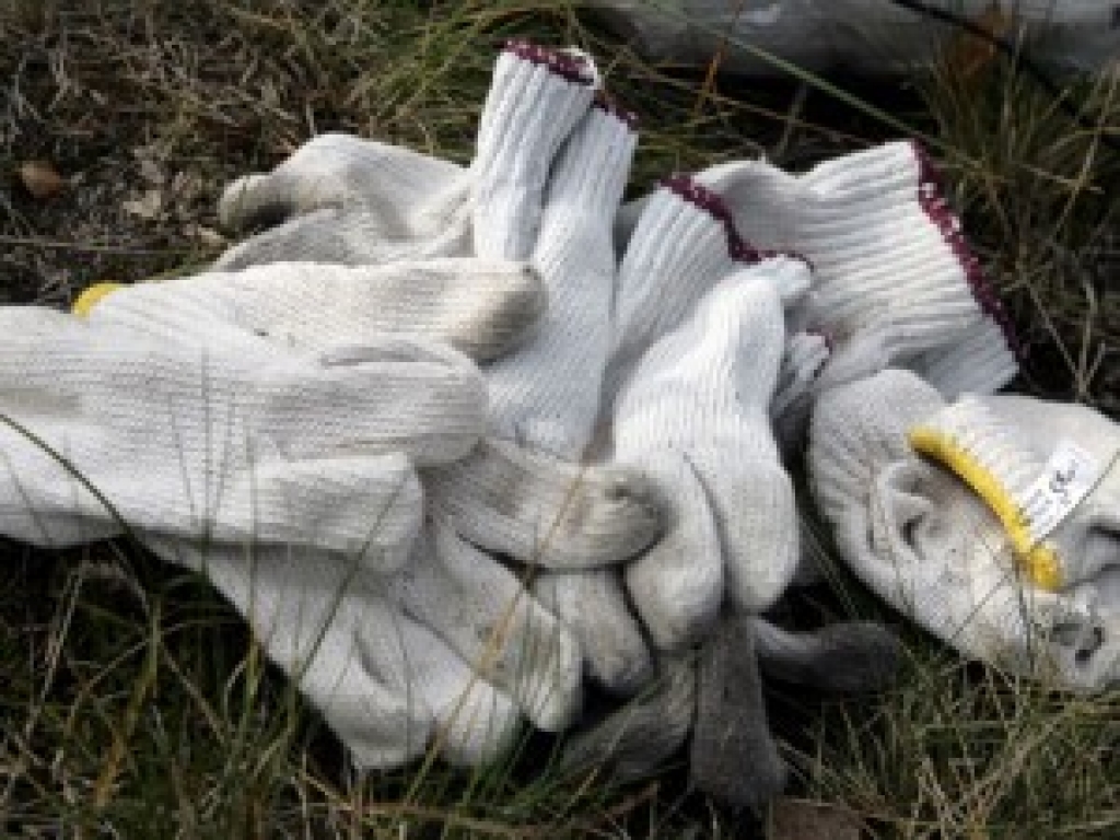 Fotoattēlam ilustratīva nozīme.
Autors: www.apollo.lv