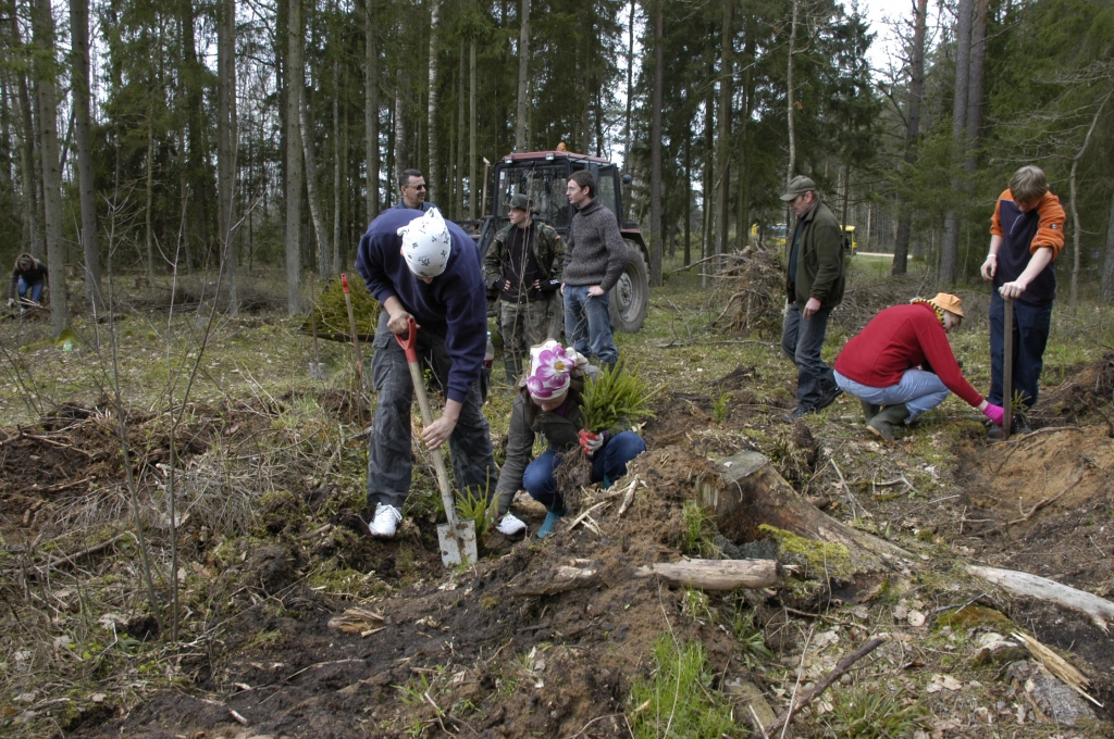 Fotoattēlam ilustratīva nozīme.
Autors: No «Bauskas Dzīves» arhīva.