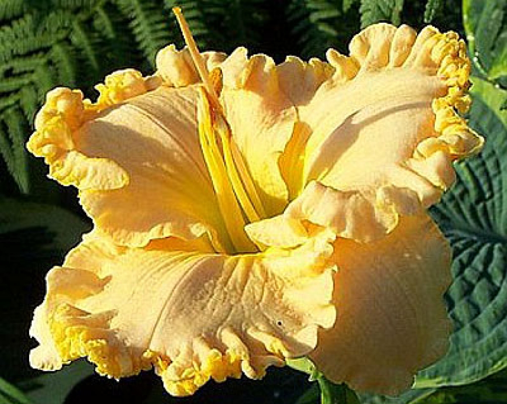 Fotoattēlam ilustratīva nozīme.