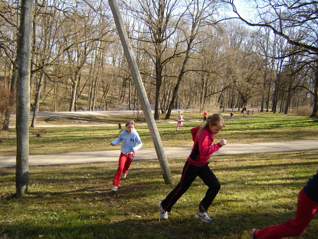 Iecavas novada pavasara krosa distanci mēro sākumskolas «Dartija» vecāko klašu meitenes.
Autors: No albuma.