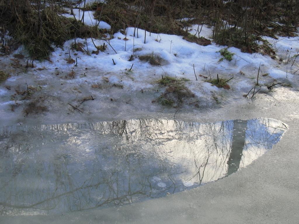 Fotoattēlam ilustratīva nozīme.
Autors: www.meteo.lv