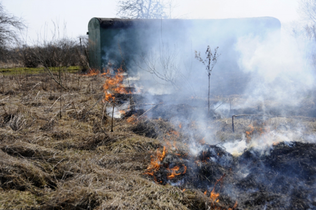 Autors: Ivars Bogdanovs