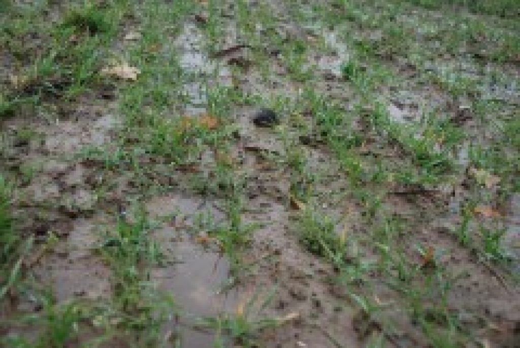 Fotoattēlam ilustratīva nozīme.