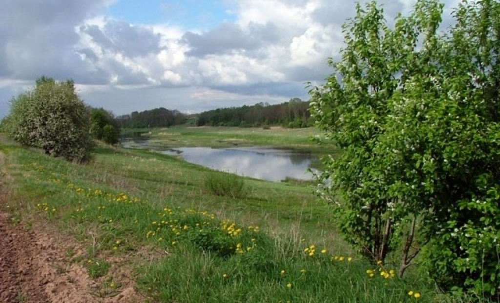 Ja tiks realizēts Mūsas HES projekts, lēzenās pļavas pie krasta pazudīs un lielāko daļu šīs ainavas klās ūdens. 
Autors: No albuma.