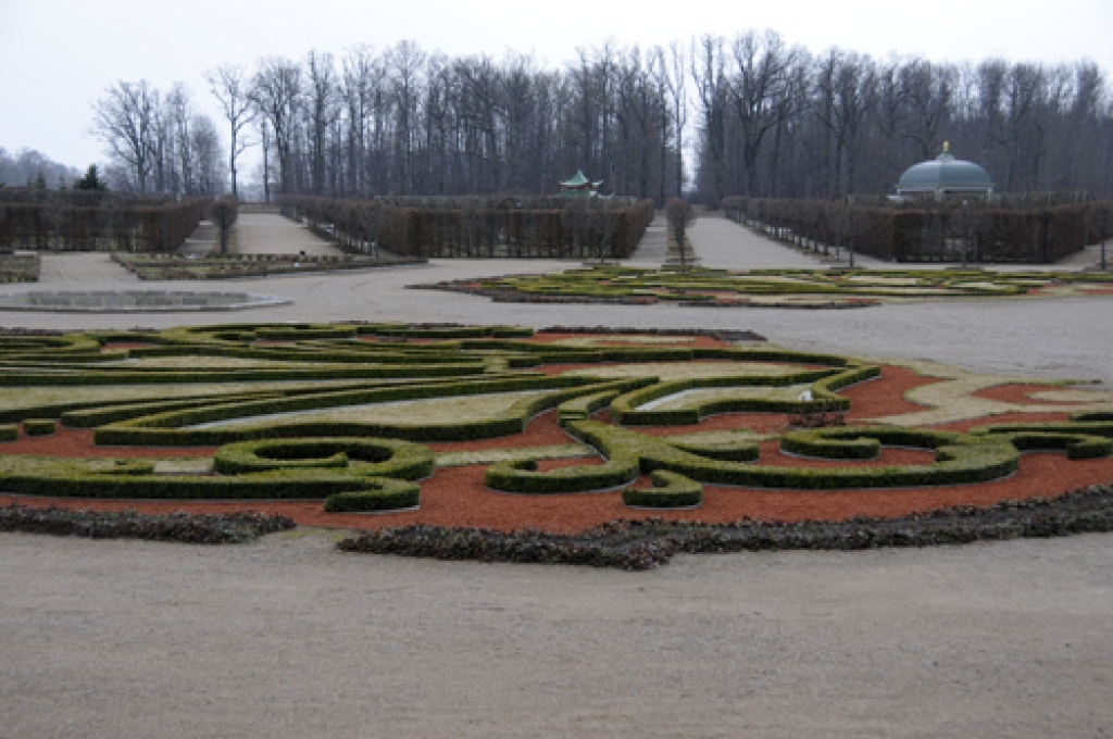 Rundāles pils muzeja parkā no ziemas miega tiek modinātas rozes.
Autors: Ivars Bogdanovs