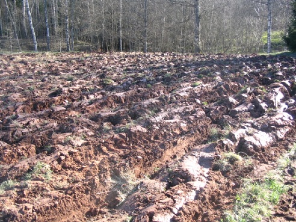 Attēlam ilustratīva nozīme.
Autors: no www.baltaisruncis.lv/blogs/lauki-lauki