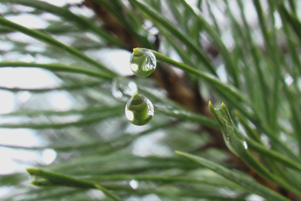 Fotoattēlam ilustratīva nozīme.
Autors: www.poga.lv