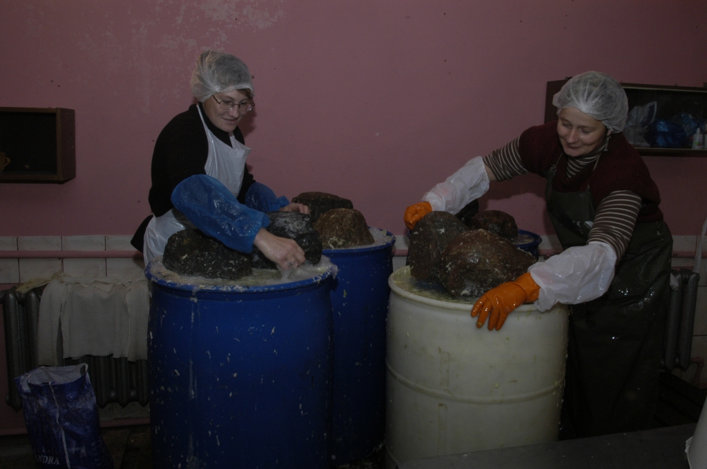 Uzņēmējdarbības mācību grupa apmeklēja arī brunavietes Ivetas Ļekūnes «Kāpostnīcu» Brunavas pagastā.
Autors: No «Bauskas Dzīves» arhīva.