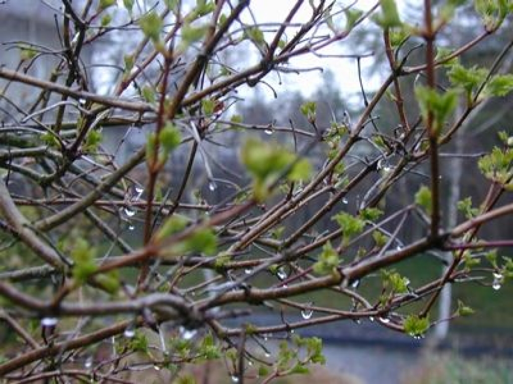 Fotoattēlam ilustratīva nozīme.