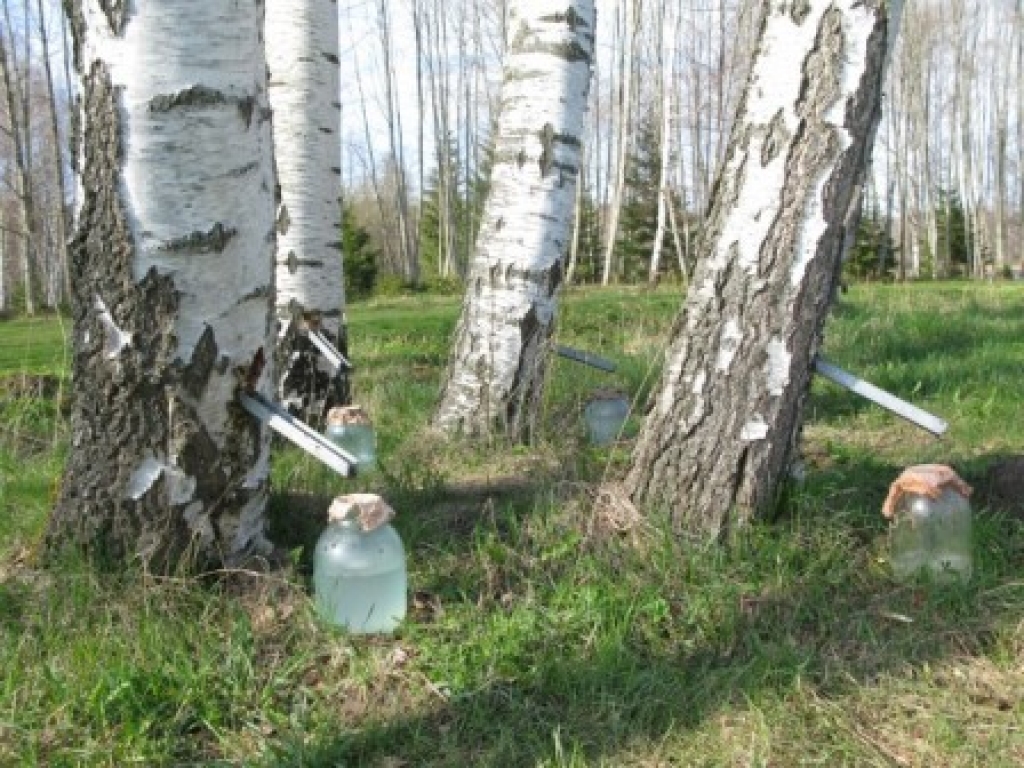 Fotoattēlam ilustratīva nozīme.