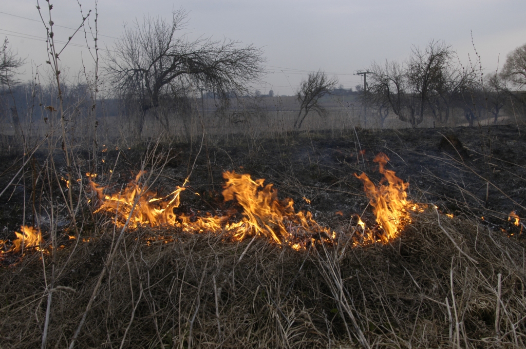 Autors: No «Bauskas Dzīves» arhīva.