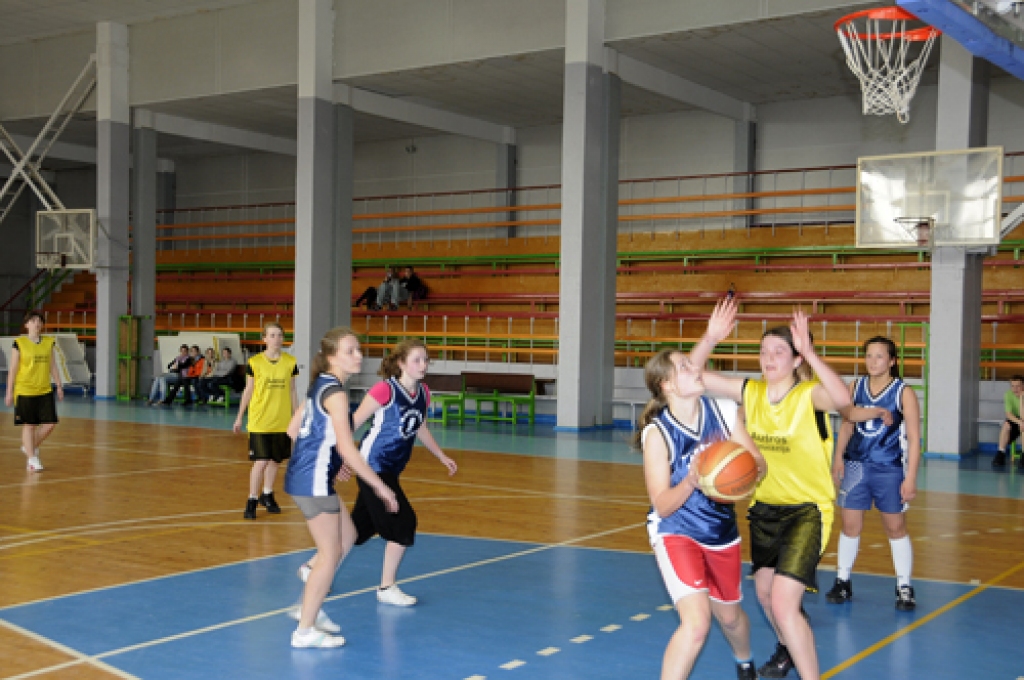 Bauskas jaunās basketbolistes un Mežotnes volejbolisti sporta namā «Mēmele» 21. aprīlī sacentās ar viesiem, kaimiņvalsts Lietuvas Jonišķu sportistiem. Tā bija jaunatnes pirmā sportiskā vizīte, kurai aizmetņi rodami gandrīz pirms gadiem...
Autors: Ivars Bogdanovs