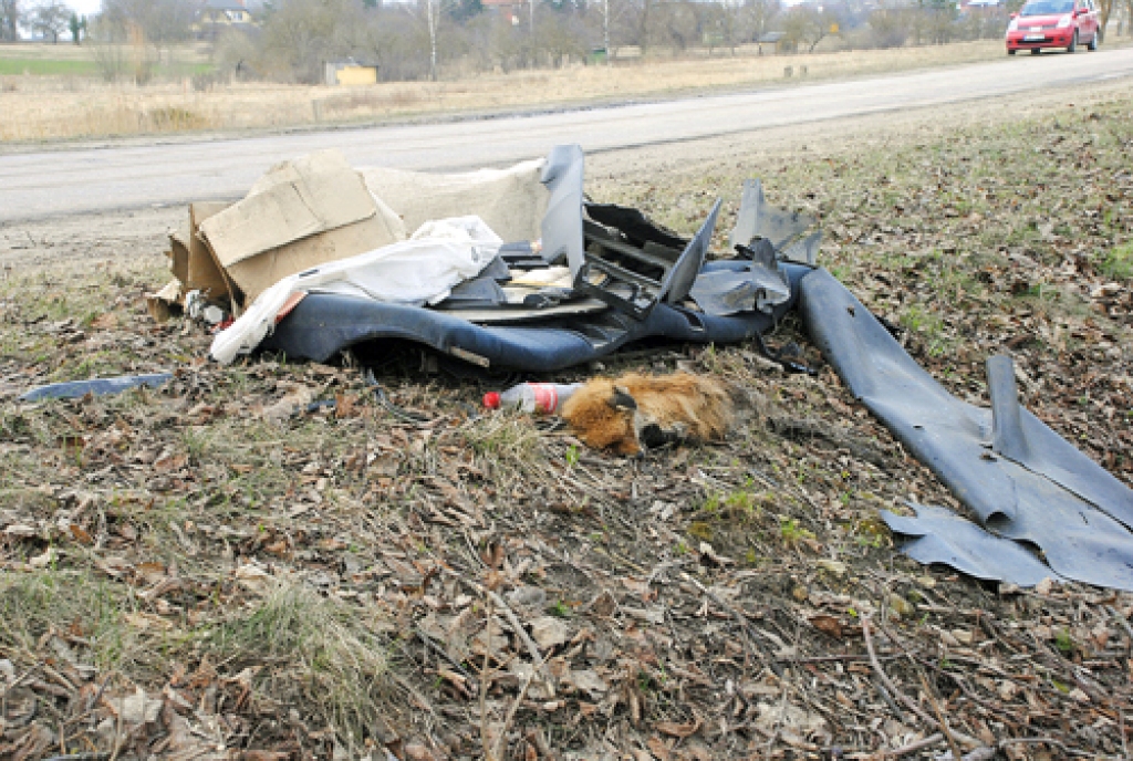 «Klusā daba» ar beigtu lapsu jau kādu nedēļu skatāma Bauskas–Elejas šosejas malā, netālu no degvielas uzpildes stacijas «Neste».