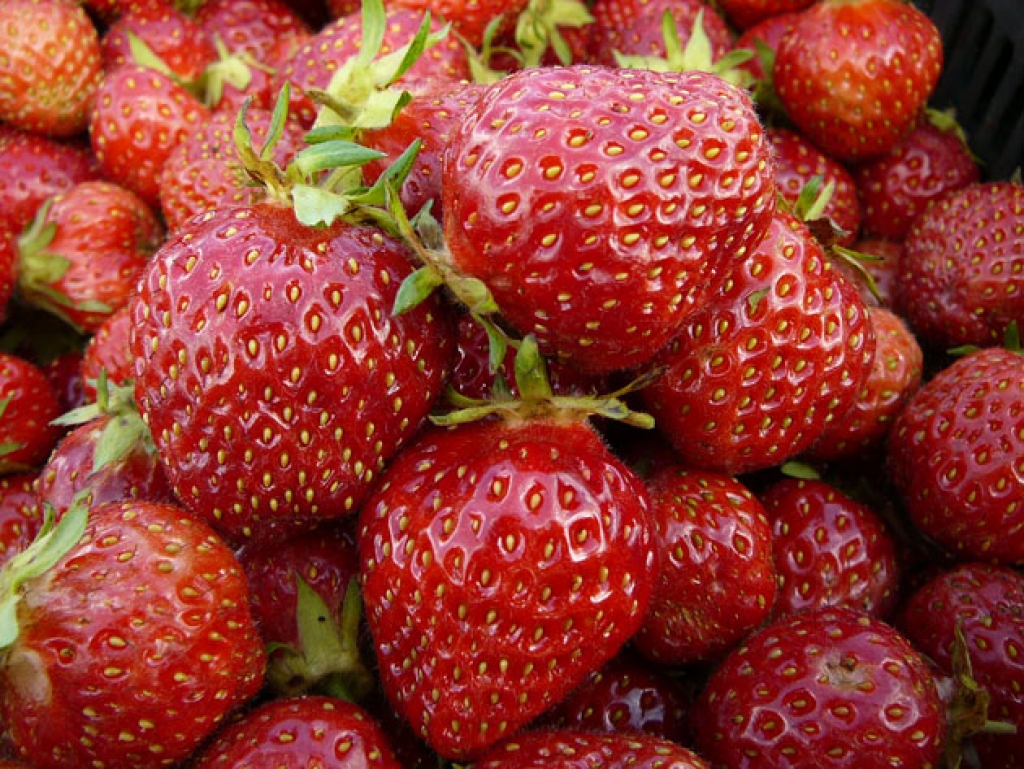 Fotoattēlam ilustratīva nozīme.