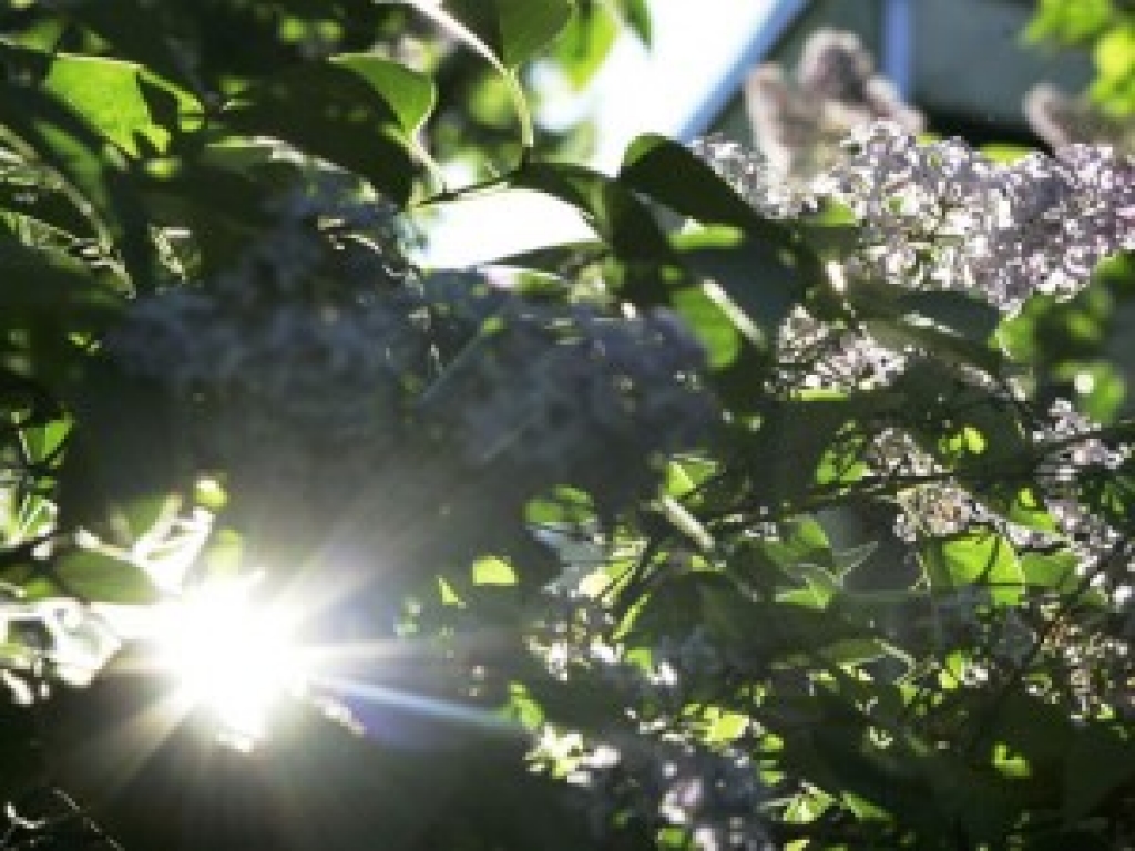 Fotoattēlam ilustratīva nozīme.
Autors: www.apollo.lv