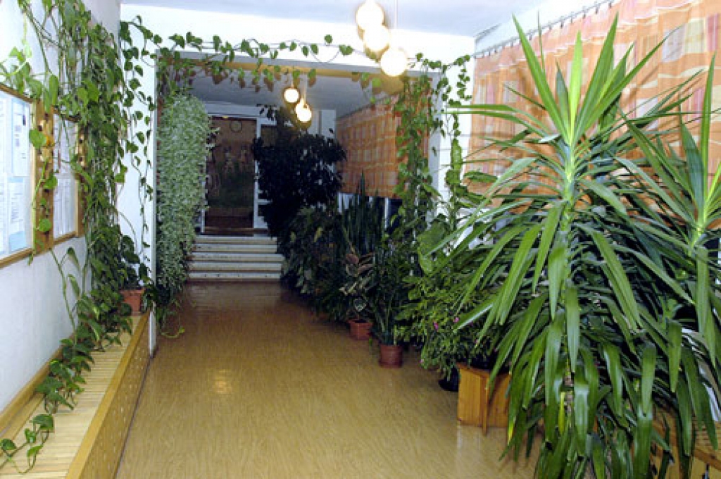 «CĀLĪTIS», pirmsskolas izglītības iestāde.
Autors: no «Bauskas Dzīves» arhīva