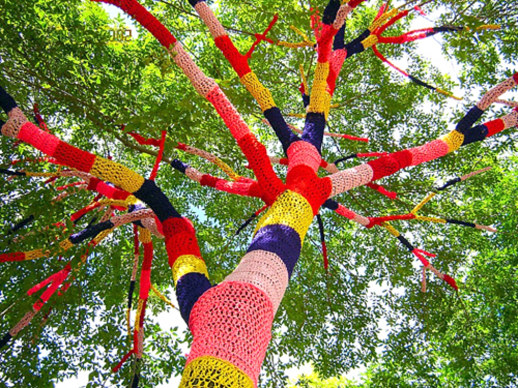 Koks ieguvis jaunu veidolu.
Autors: uzadi.lv