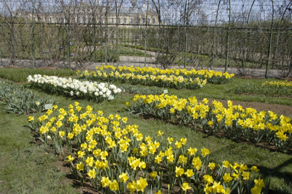 Autors: Ivars Bogdanovs