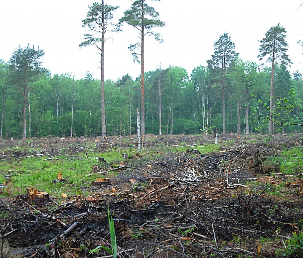 Fotoattēlam ilustratīva nozīme.
Autors: www.lvm.lv