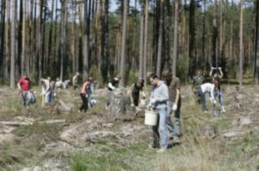 Fotoattēlam ilustratīva nozīme.
